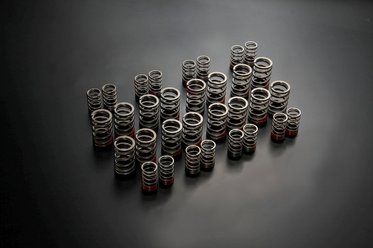 Tomei Valve Spring - Nissan Pulsar GTI-R RNN14 SR20DET