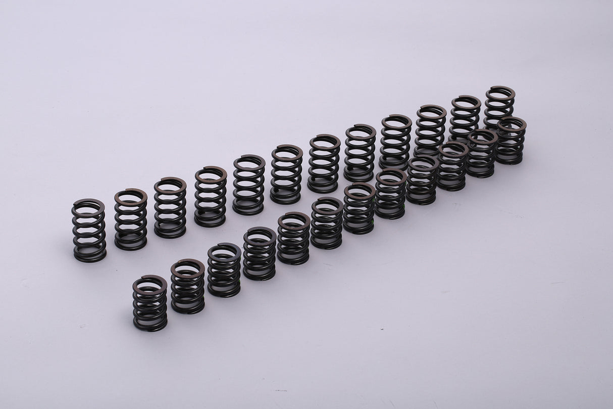 Tomei Valve Spring - Nissan R33 RB25DE(T) A-Type