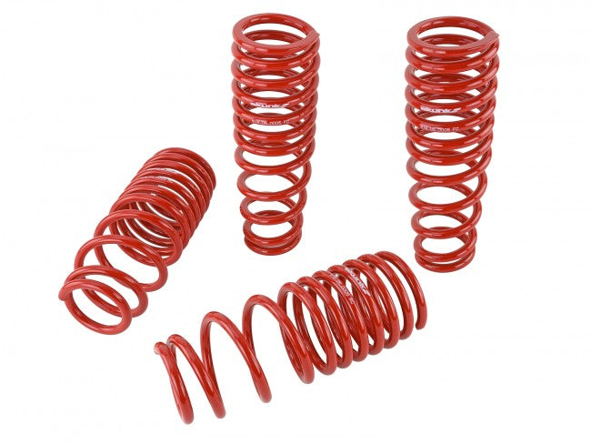Skunk2 Lowering Springs 92-95 Honda Civic EG Del Sol