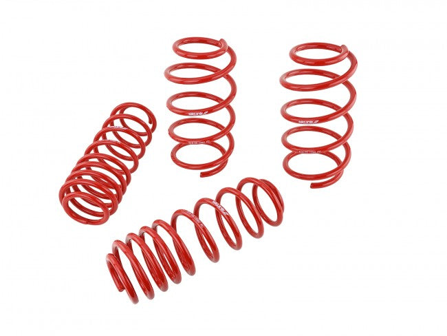 Skunk2 Lowering Springs Honda Civic FN2 Type R 07-11