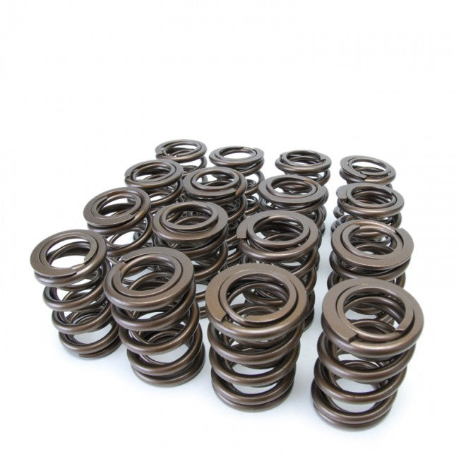 Skunk2 Alpha Series Valve Spring Kit Integra B16 B18