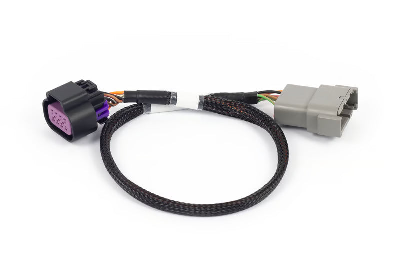 Haltech Nexus Rebel LS - 8-Pin DBW Adapter