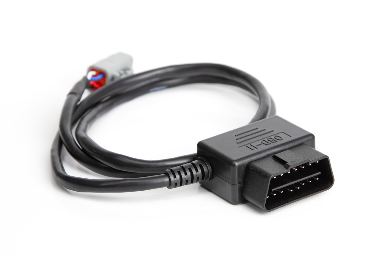 Haltech Ford MK1 Radio DTM-4 CAN to OBDII CAN Cable