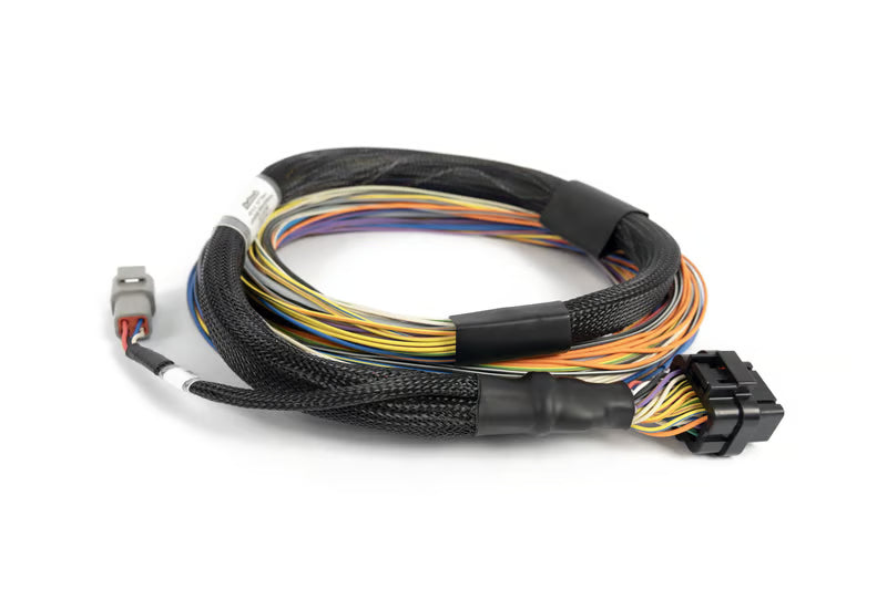 Haltech Nexus T2 / T1 Basic Universal Wire-In Harness