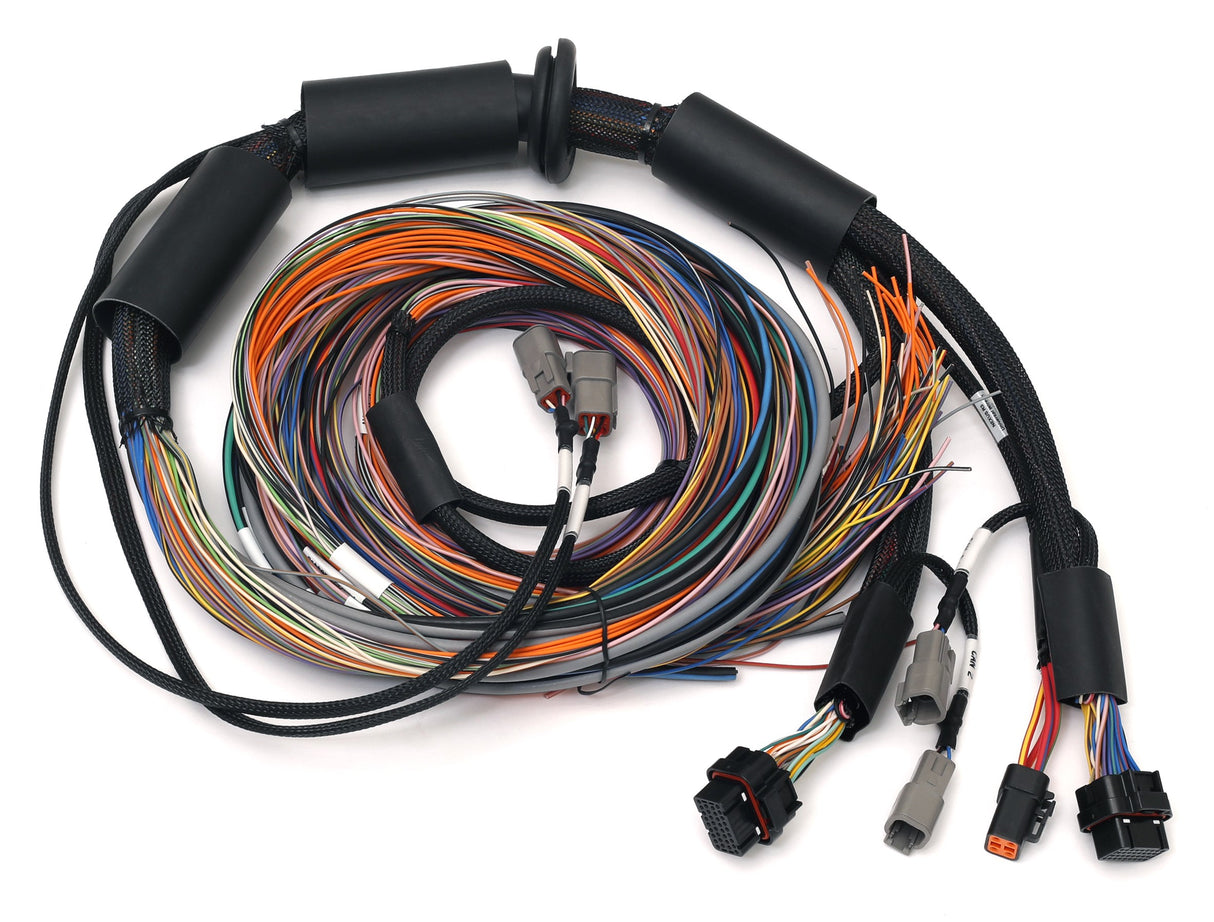 Haltech Nexus R3 Universal Wire-In Harness