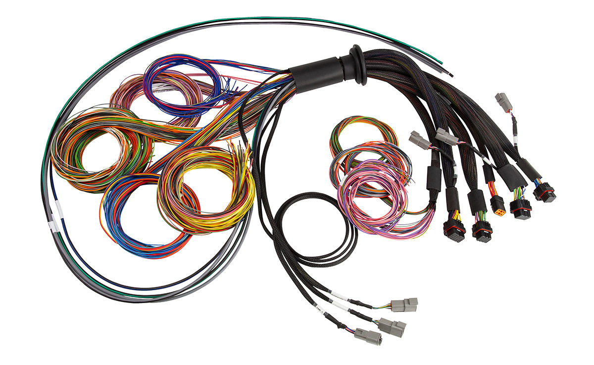 Haltech Nexus R5 Universal Wire-In Harness - 5M (16')