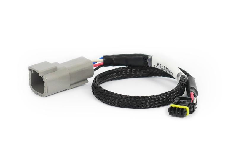 Haltech CAN Adapter Loom DTM-4 to Molex Mizu-P25 - Suits Holley