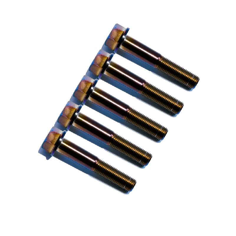 SpeedFactory Titanium Transmission to Engine Bolt Kit Burnt