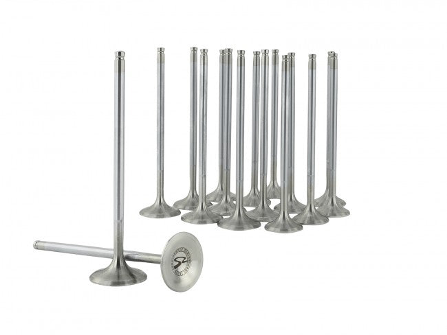 Skunk2 Alpha Series Valves Stock Size Standard Compression Honda D-Series