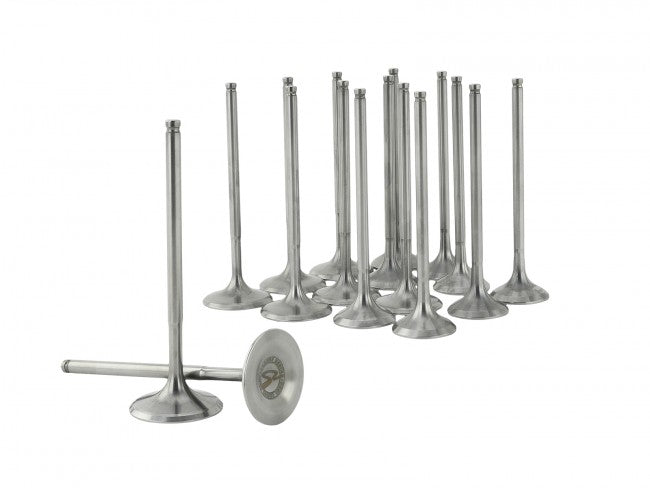 Skunk2 B-Series VTEC Ultra Std Comp Valves 33m/28mm