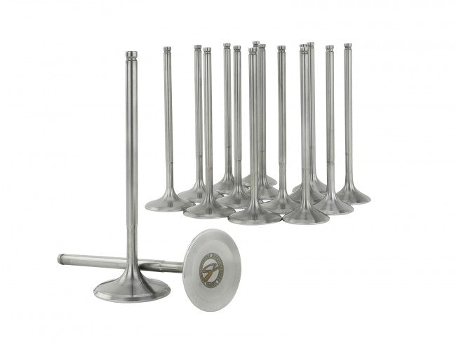 Skunk2 K-Series VTEC Ultra Series Valves STD Comp Valves