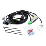 Hybrid Racing K-Swap Conversion Harness - Civic (96-98)