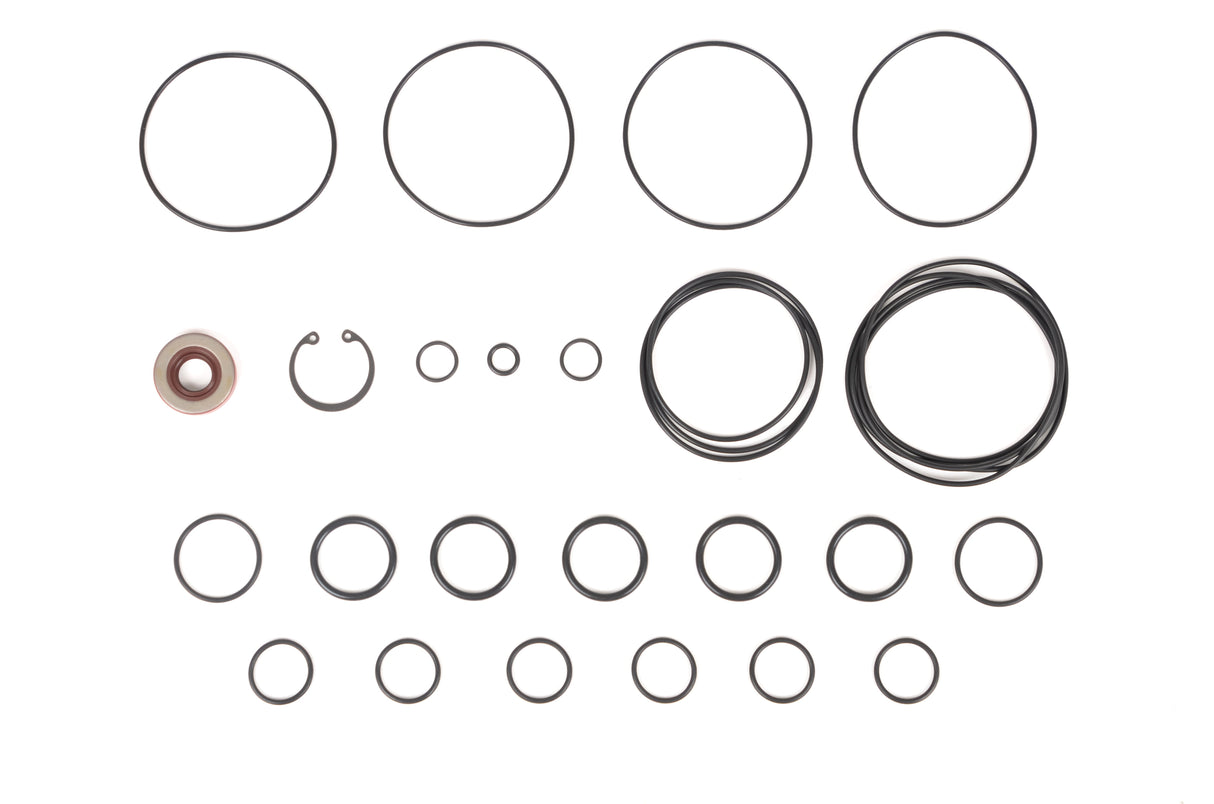 RCM Dry Sump Pump Complete O Ring Seal & Circlip Kit
