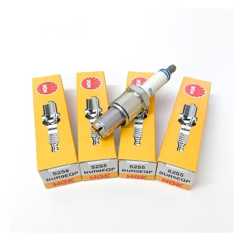NGK Platinum Spark Plugs BUR9EQP (Single)
