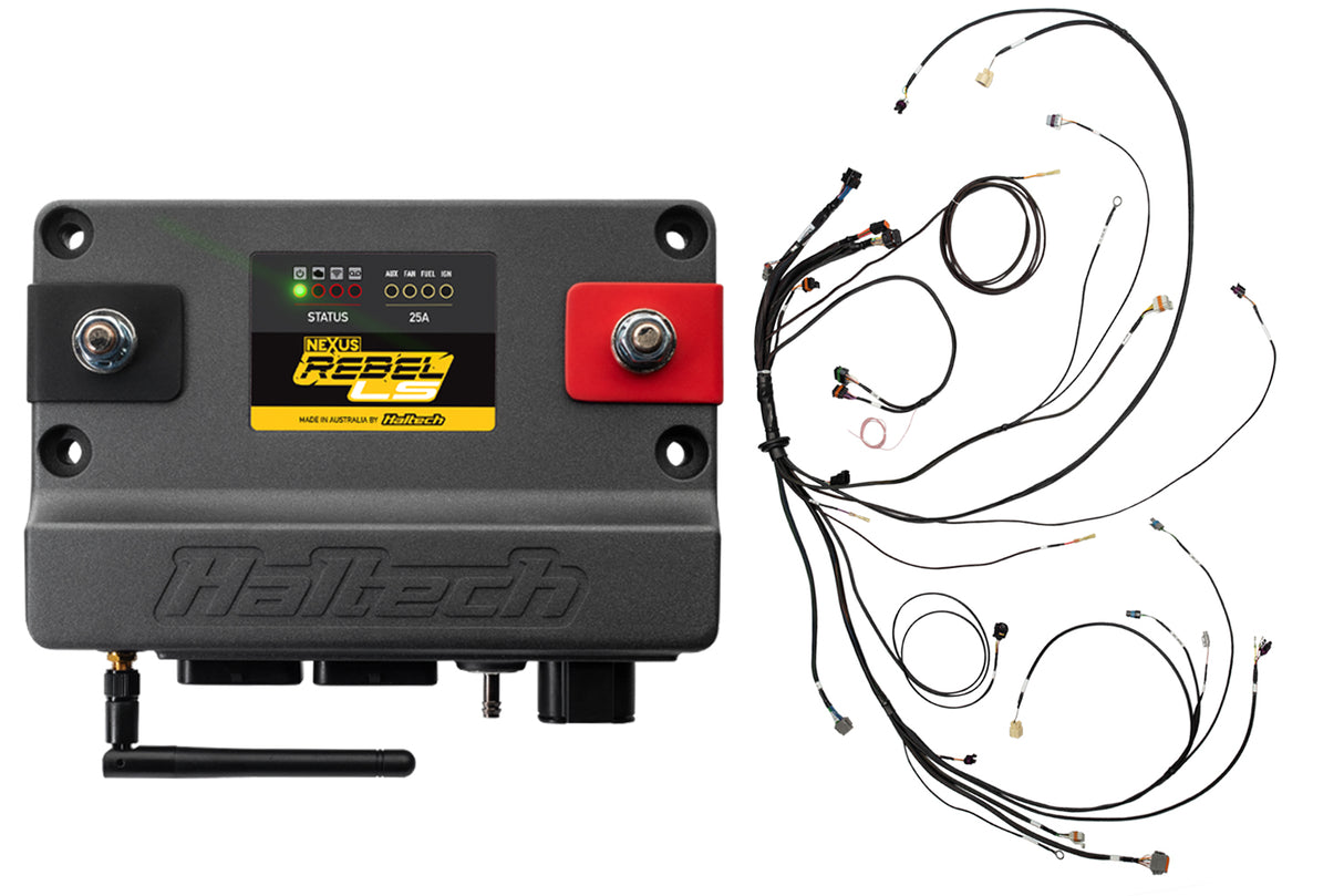 Haltech Rebel LS Kit - Gen III Cable Throttle, EV1, Manual Transmission