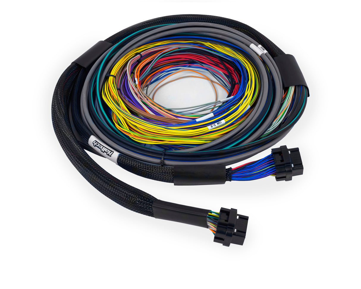 Haltech Nexus S3/S2 Universal Wire-In Harness - 2.5m (8ft)