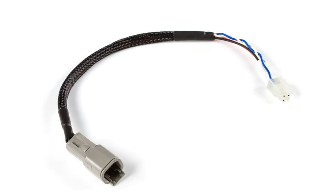 Haltech CAN Adapter Loom DTM-4 to Minifit Jr - Suits Microtech