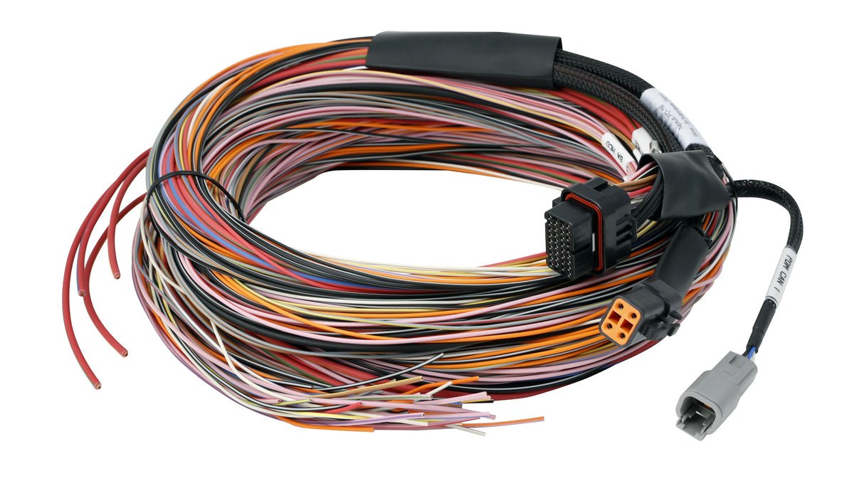 Haltech PD16 Wire-In Harness 5M / 16FT
