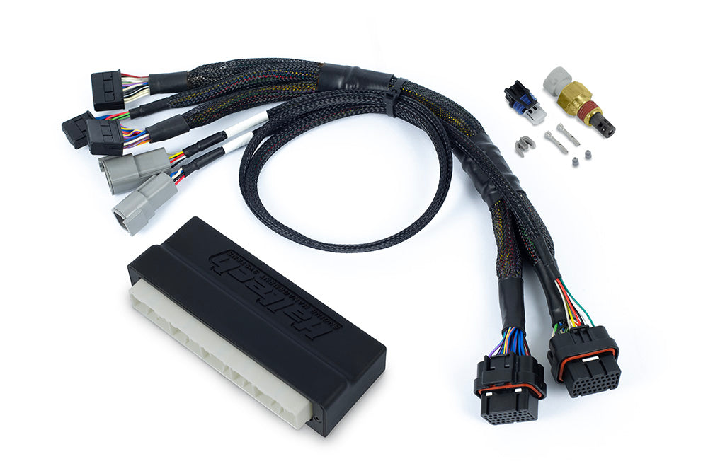 Haltech Nexus S2/S3 Plug 'n' Play Adapter Harness - Honda EP3
