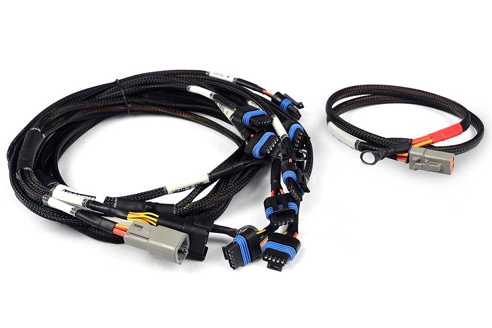 Haltech Nexus V8 Ignition-1A Ford Harness